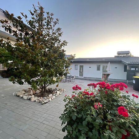 Dekor Hotel Costinesti Buitenkant foto