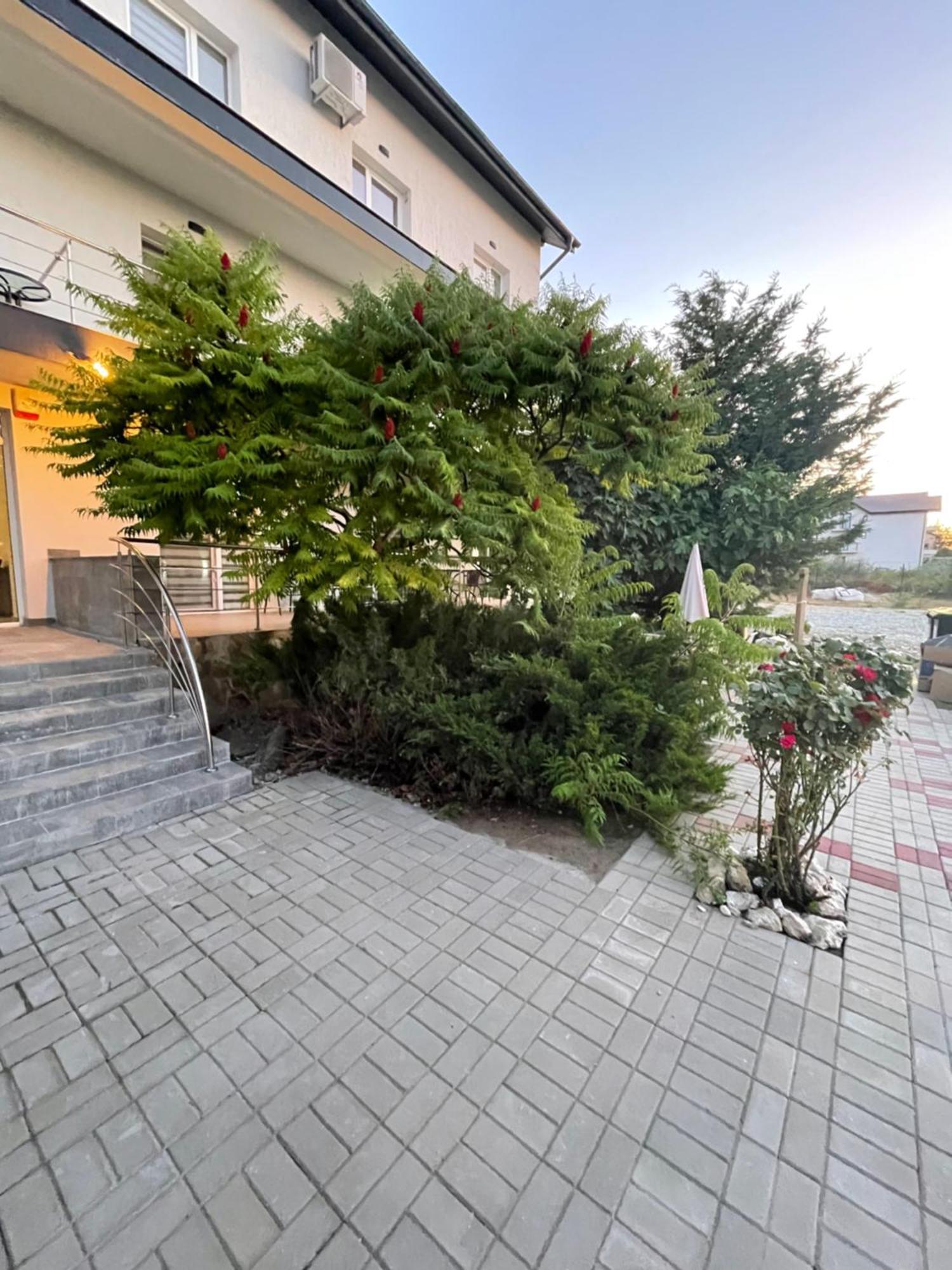 Dekor Hotel Costinesti Buitenkant foto