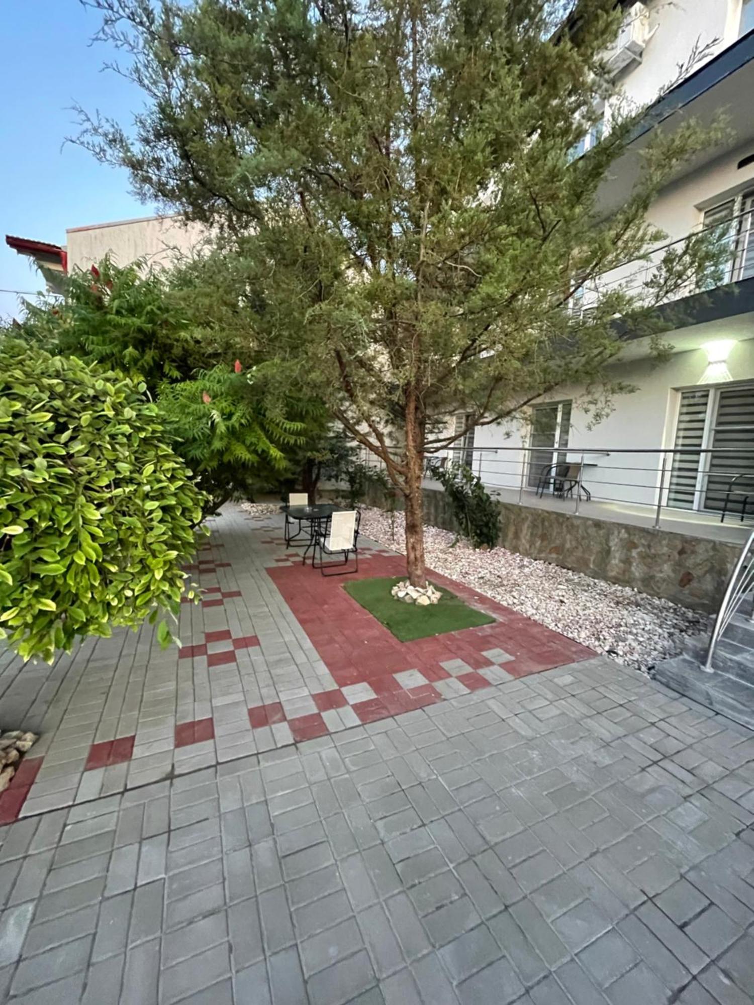 Dekor Hotel Costinesti Buitenkant foto